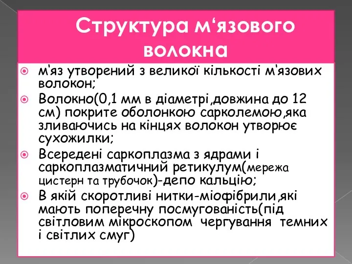 Структура м‘язового волокна м‘яз утворений з великої кількості м‘язових волокон;