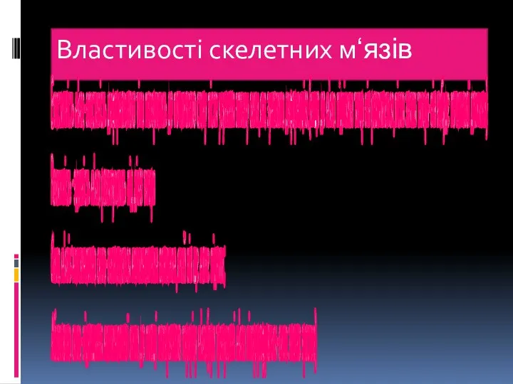 Властивості скелетних м‘язів Еластичність м‘яза-властивість деформованого тіла повертатись до початкового