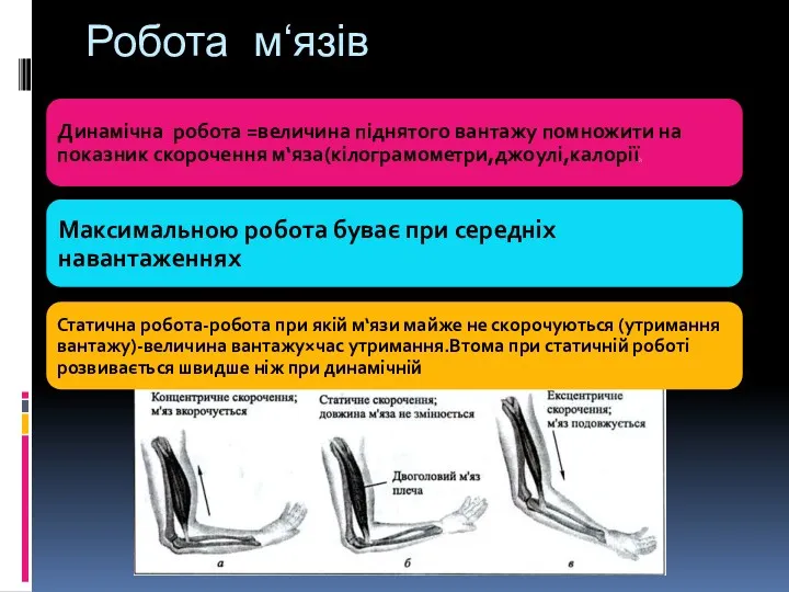 Робота м‘язів