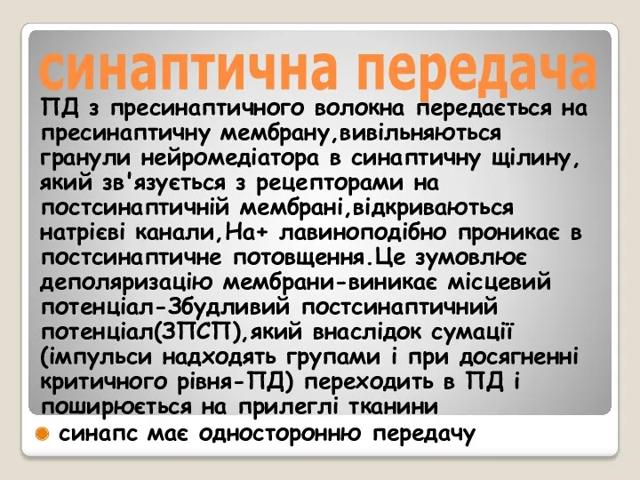 синаптична передача ПД з пресинаптичного волокна передається на пресинаптичну мембрану,вивільняються