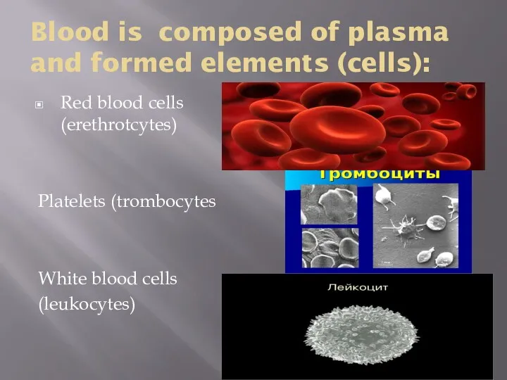 Ьтиоьти т Blood is composed of plasma and formed elements