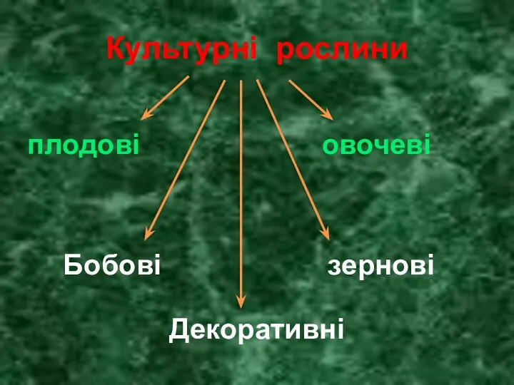 Культурні рослини плодові овочеві Бобові зернові Декоративні