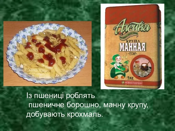 Із пшениці роблять пшеничне борошно, манну крупу, добувають крохмаль.