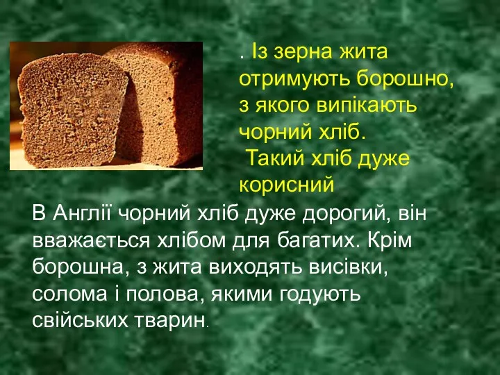 . Із зерна жита отримують борошно, з якого випікають чорний хліб. Такий хліб