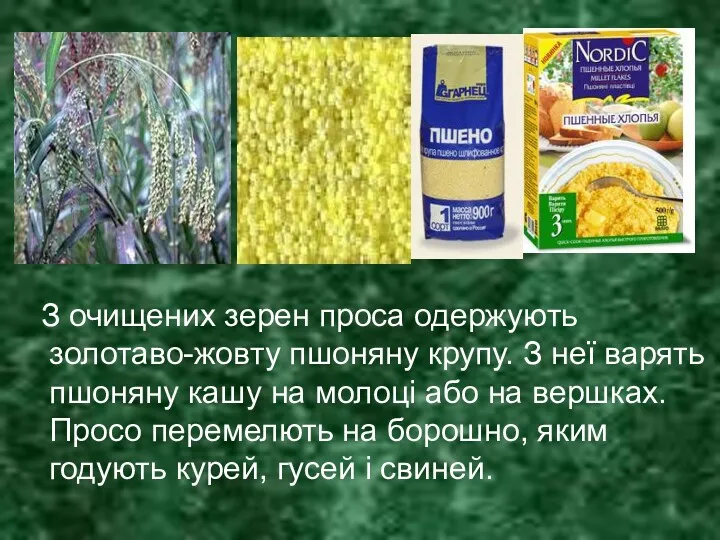 З очищених зерен проса одержують золотаво-жовту пшоняну крупу. З неї варять пшоняну кашу