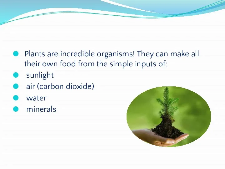 Plants are incredible organisms! They can make all their own