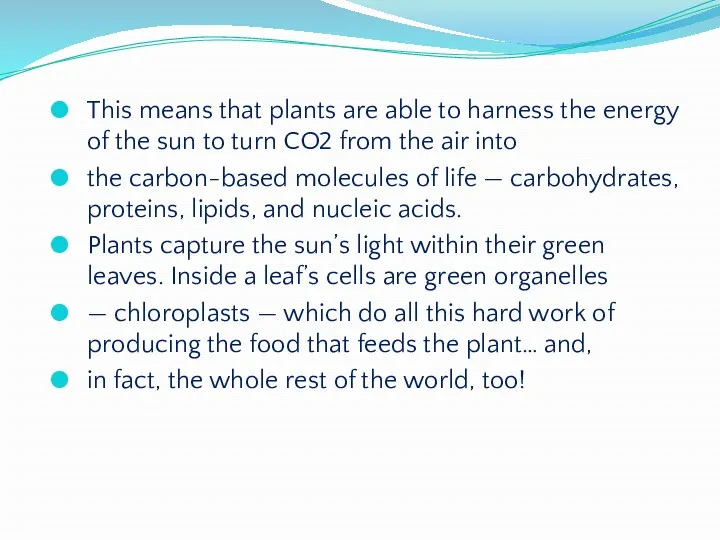 This means that plants are able to harness the energy