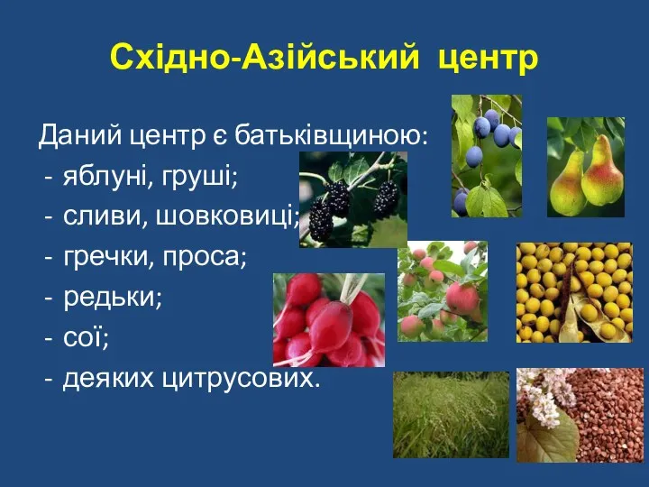 Східно-Азійський центр Даний центр є батьківщиною: яблуні, груші; сливи, шовковиці; гречки, проса; редьки; сої; деяких цитрусових.