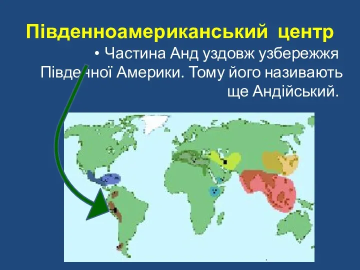 Південноамериканський центр Частина Анд уздовж узбережжя Південної Америки. Тому його називають ще Андійський.