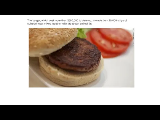 The burger, which cost more than $380,000 to develop, is