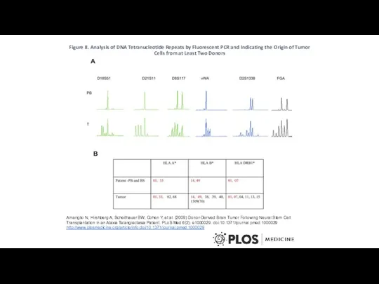 Figure 8. Analysis of DNA Tetranucleotide Repeats by Fluorescent PCR
