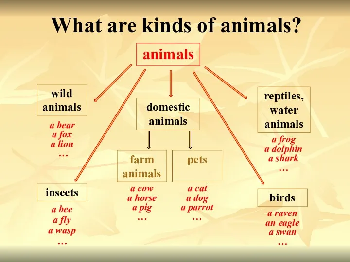 What are kinds of animals? insects birds pets farm animals reptiles,water animals domestic