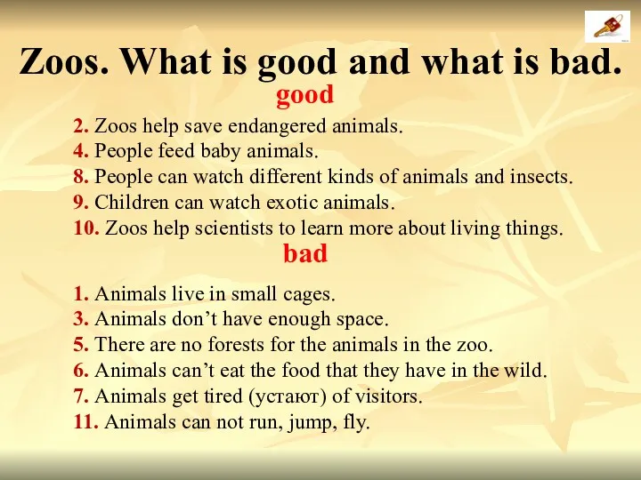 2. Zoos help save endangered animals. 4. People feed baby animals. 8. People