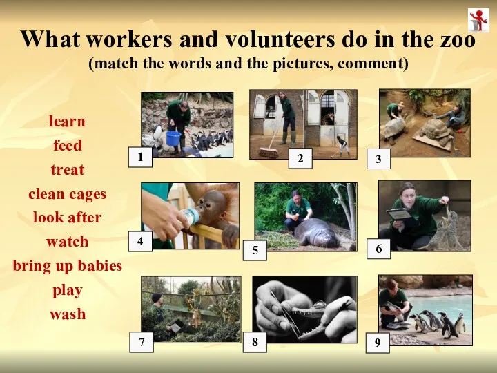1 2 3 5 6 7 8 What workers and volunteers do in