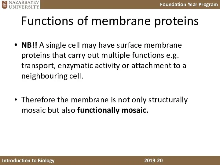 Functions of membrane proteins NB!! A single cell may have surface membrane proteins