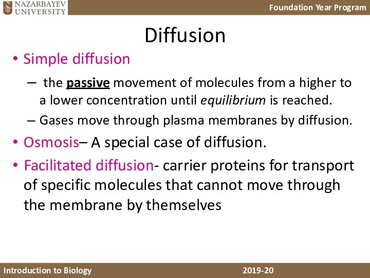 Diffusion Simple diffusion the passive movement of molecules from a higher to a