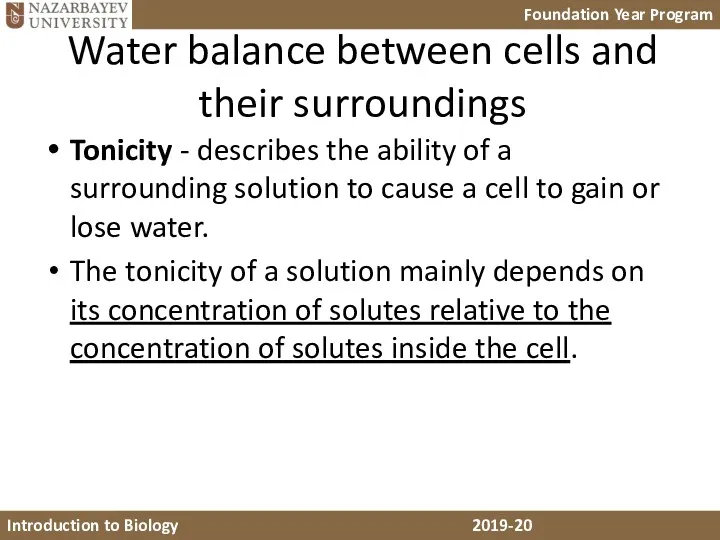 Water balance between cells and their surroundings Tonicity - describes the ability of