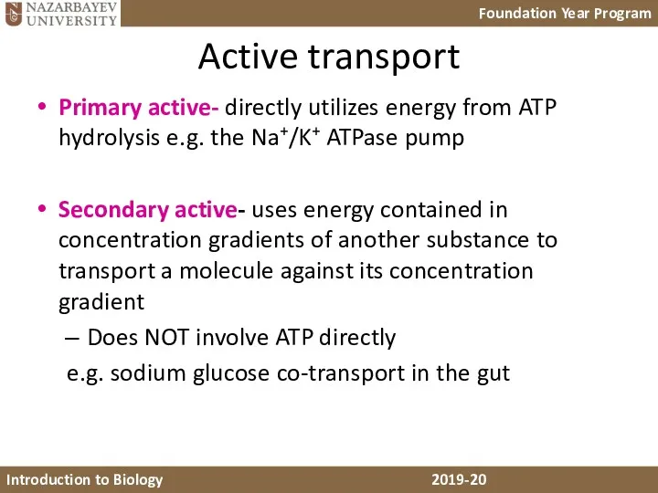 Active transport Primary active- directly utilizes energy from ATP hydrolysis e.g. the Na+/K+