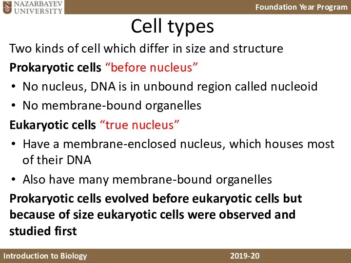 Cell types Two kinds of cell which differ in size and structure Prokaryotic