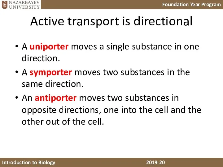 Active transport is directional A uniporter moves a single substance in one direction.