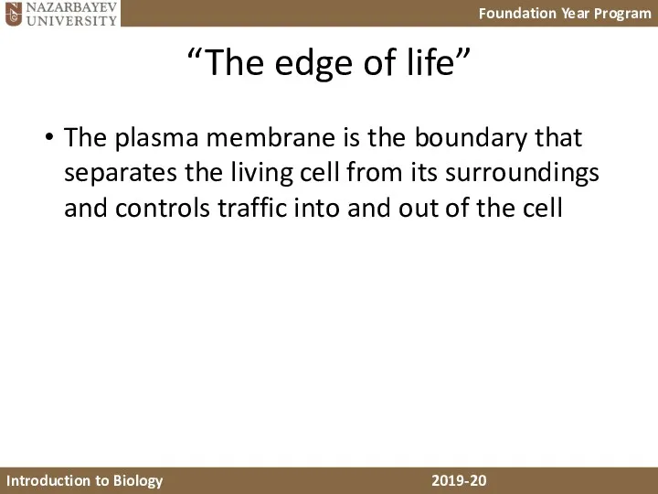“The edge of life” The plasma membrane is the boundary that separates the