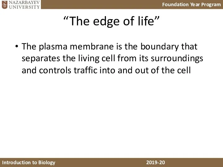 “The edge of life” The plasma membrane is the boundary