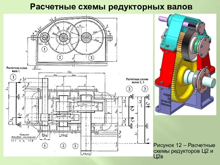 Расчетные схемы редукторных валов Рисунок 12 – Расчетные схемы редукторов Ц2 и Ц2в