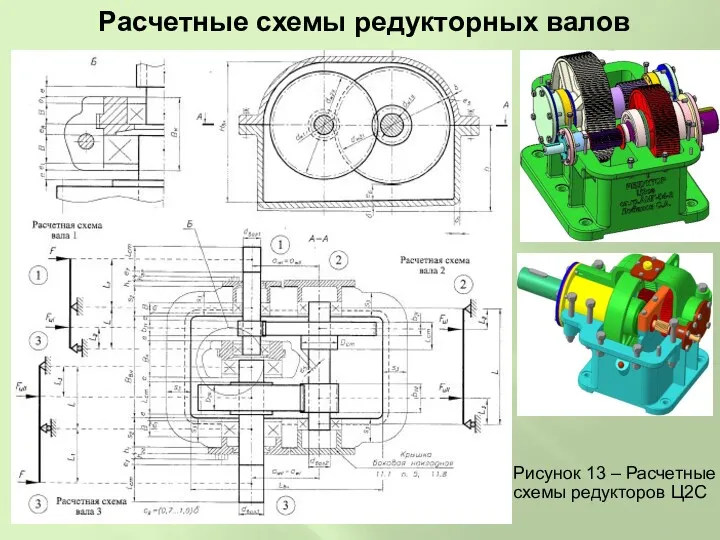 Расчетные схемы редукторных валов Рисунок 13 – Расчетные схемы редукторов Ц2С