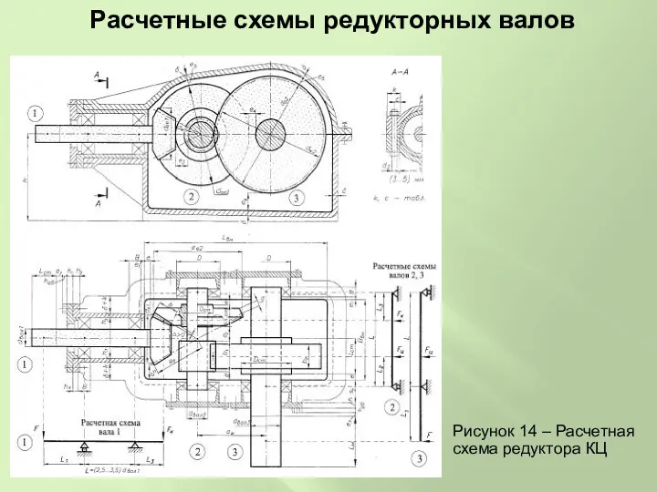 Расчетные схемы редукторных валов Рисунок 14 – Расчетная схема редуктора КЦ