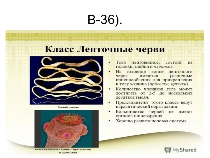 В-36).