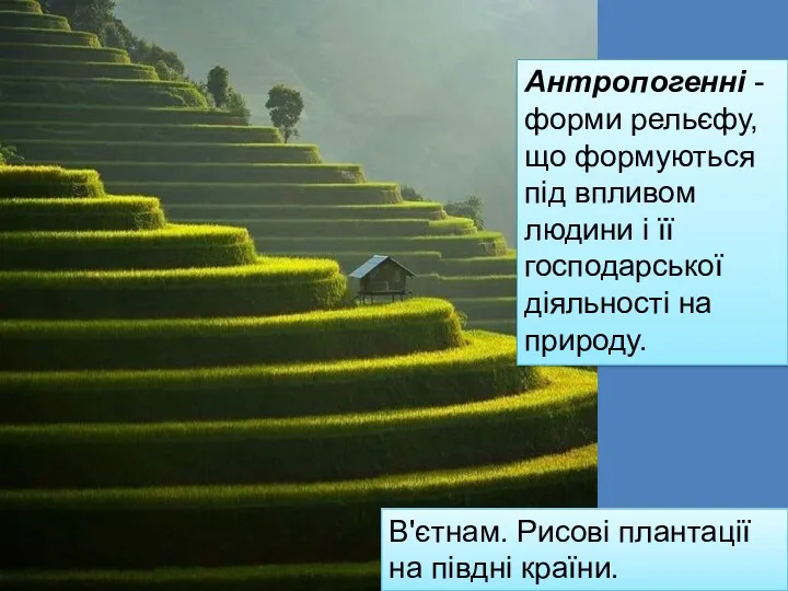 В'єтнам. Рисові плантації на півдні країни. Антропогенні - форми рельєфу,