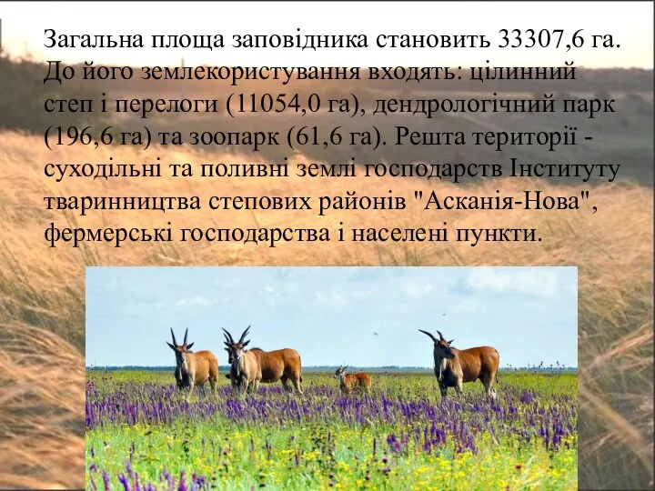 Загальна площа заповідника становить 33307,6 га. До його землекористування входять: