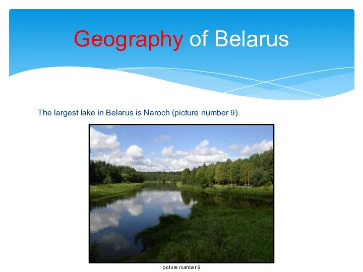 The largest lake in Belarus is Naroch (picture number 9). Geography of Belarus picture number 9