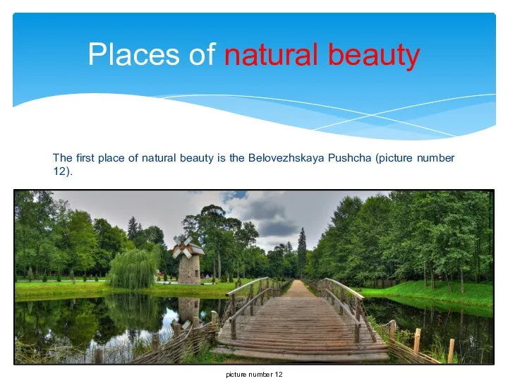 The first place of natural beauty is the Belovezhskaya Pushcha