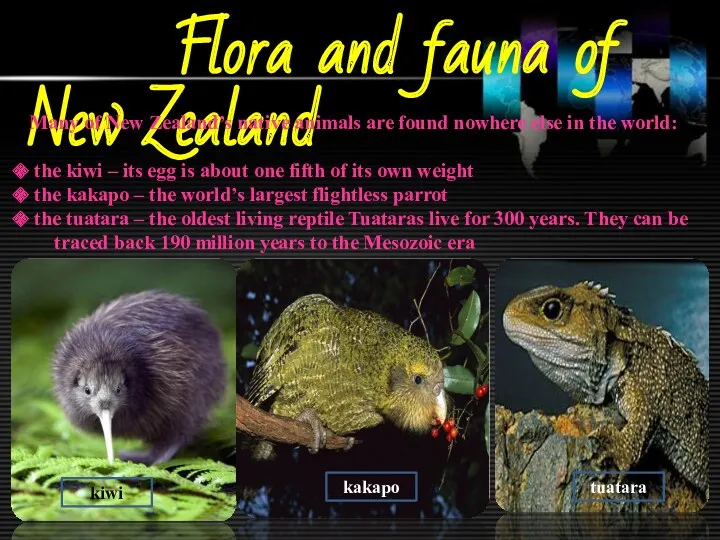 Flora and fauna of New Zealand Many of New Zealand’s