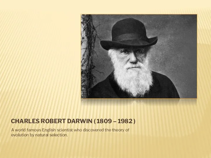 CHARLES ROBERT DARWIN ( 1809 – 1982 ) A world