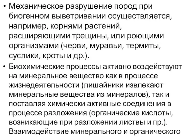 Механическое разрушение пород при биогенном выветривании осуществляется, например, корнями растений,