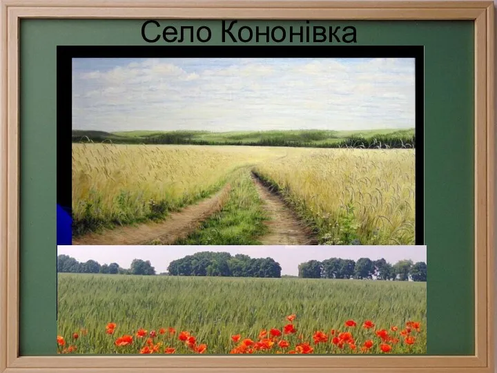 Село Кононівка