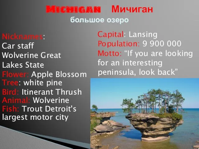 Nicknames: Car staff Wolverine Great Lakes State Flower: Apple Blossom
