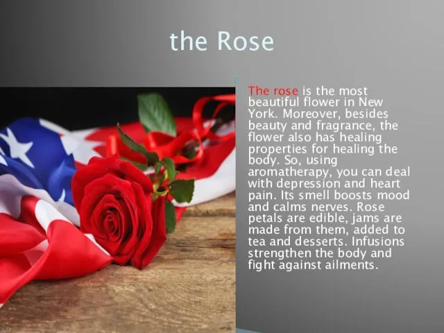 The rose is the most beautiful flower in New York. Moreover, besides beauty