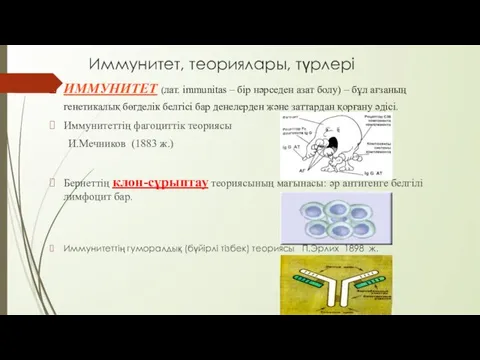 Иммунитет, теориялары, түрлері ИММУНИТЕТ (лат. immunitas – бір нәрседен азат