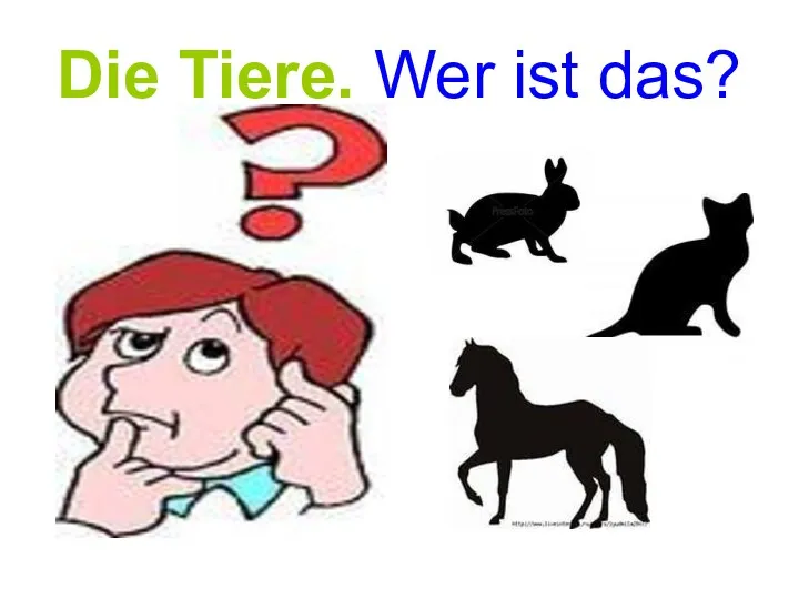 Die Tiere. Wer ist das?