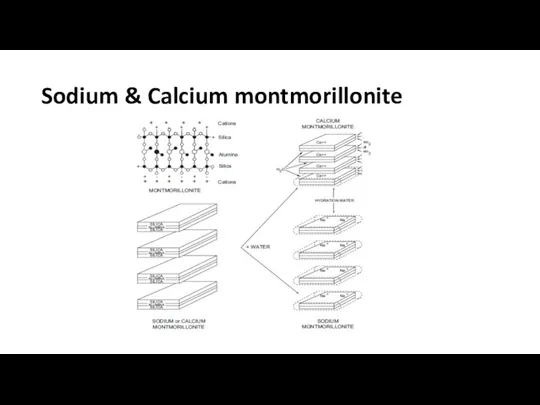 Sodium & Calcium montmorillonite