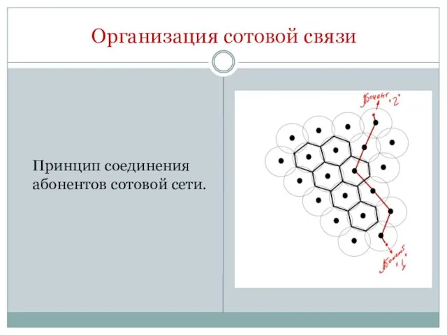 Организация сотовой связи Принцип соединения абонентов сотовой сети.