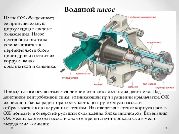 Водяной насос Насос ОЖ обеспечивает ее принудительную циркуляцию в системе