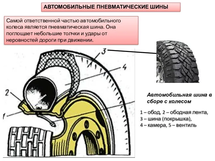 АВТОМОБИЛЬНЫЕ ПНЕВМАТИЧЕСКИЕ ШИНЫ Самой ответственной частью автомобильного колеса является пневматическая шина. Она поглощает