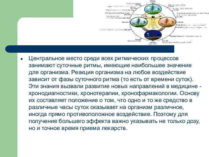 Центральное место среди всех ритмических процессов занимают суточные ритмы, имеющие