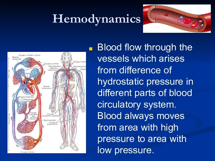 Hemodynamics Blood flow through the vessels which arises from difference