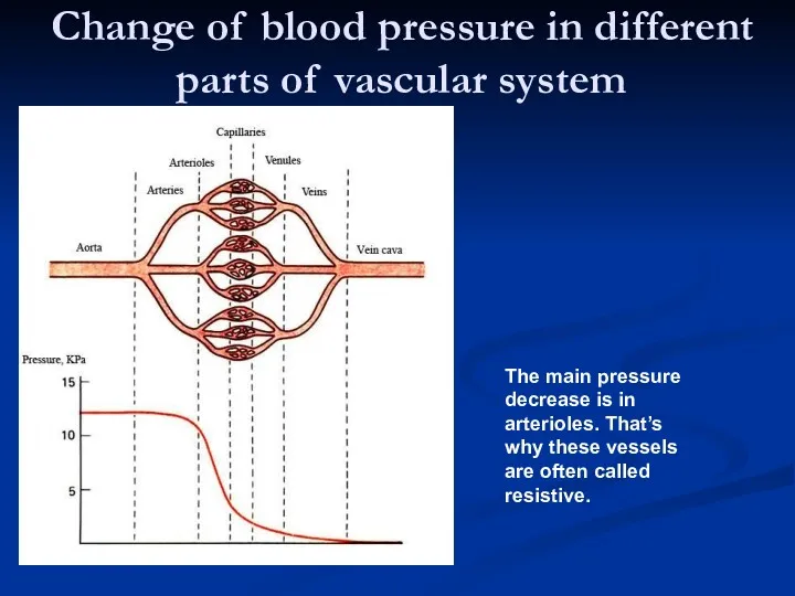 Change of blood pressure in different parts of vascular system