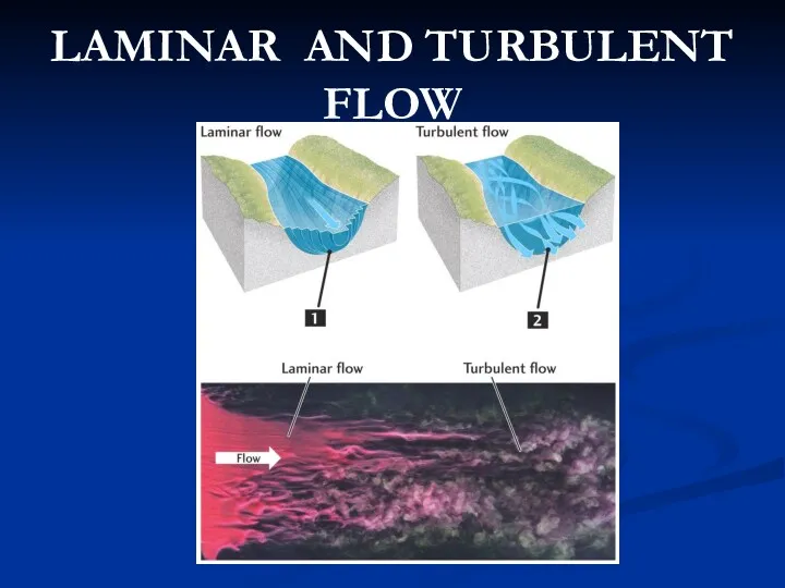 LAMINAR AND TURBULENT FLOW